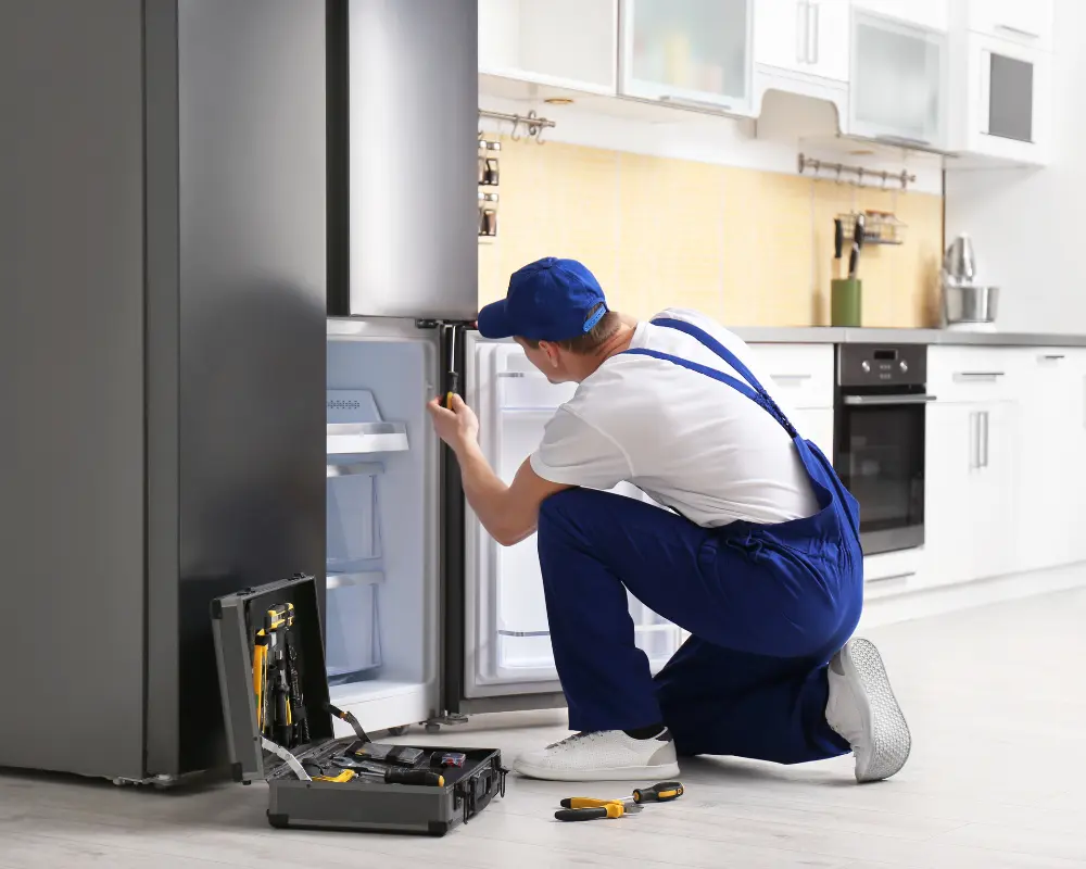 Refrigerator-maintenance